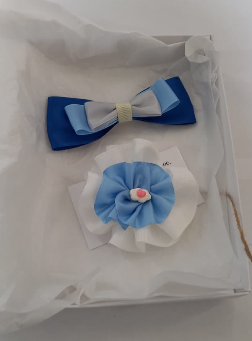 Elegancia Azul